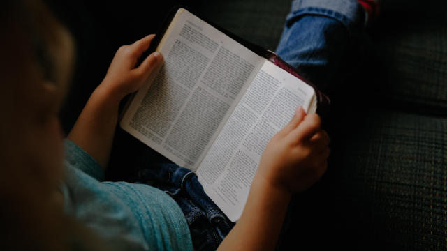 Le public adolescent : comment susciter maintenir et renforcer le lien avec la bibliothèque ?